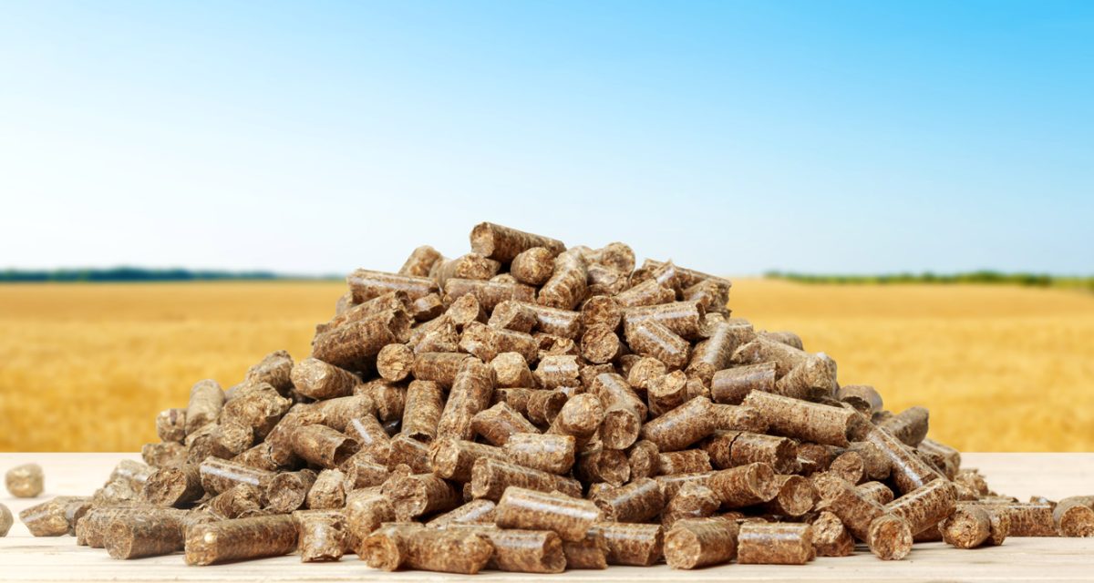 Biomass briquettes made from green waste and sawdust, cylindrical shape, manufactured in Tirunelveli, Tamil Nadu, a top supplier of biofuels.